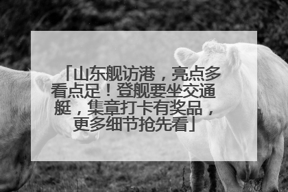 山东舰访港，亮点多看点足！登舰要坐交通艇，集章打卡有奖品，更多细节抢先看
