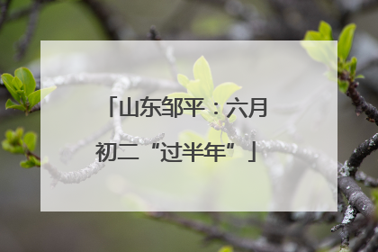山东邹平：六月初二“过半年”