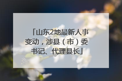 山东2地最新人事变动，涉县（市）委书记、代理县长