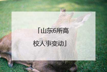 山东6所高校人事变动