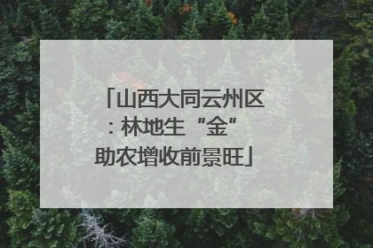 山西大同云州区：林地生“金” 助农增收前景旺