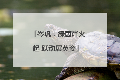 岑巩：绿茵烽火起 跃动展英姿