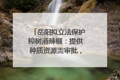 岳阳拟立法保护樟树港辣椒：提供种质资源需审批，违规最高罚5万