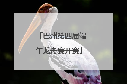 巴州第四届端午龙舟赛开赛