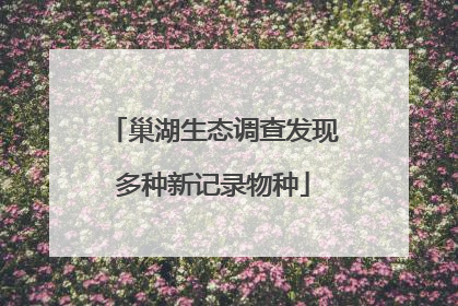 巢湖生态调查发现多种新记录物种