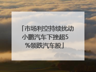 市场利空持续扰动 小鹏汽车下挫超5%领跌汽车股