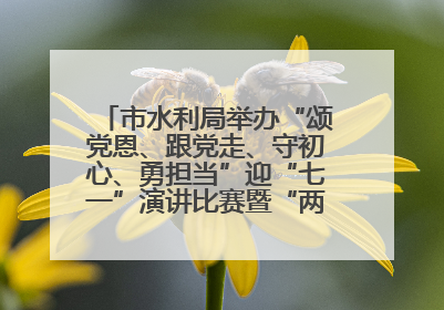 市水利局举办“颂党恩、跟党走、守初心、勇担当”迎“七一”演讲比赛暨“两优一先”表彰活动
