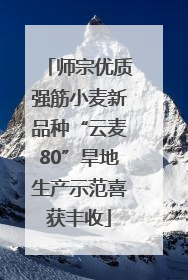 师宗优质强筋小麦新品种“云麦80”旱地生产示范喜获丰收