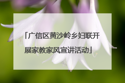 广信区黄沙岭乡妇联开展家教家风宣讲活动