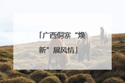广西侗寨“焕新”展风情