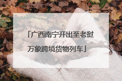 广西南宁开出至老挝万象跨境货物列车