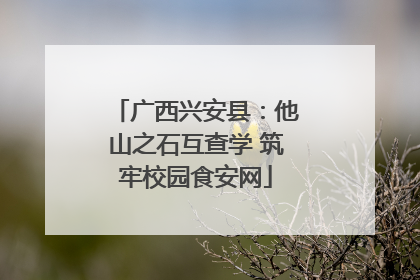 广西兴安县：他山之石互查学 筑牢校园食安网