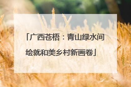 广西苍梧：青山绿水间绘就和美乡村新画卷