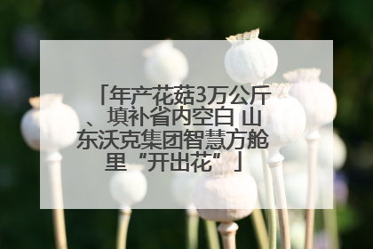年产花菇3万公斤、填补省内空白 山东沃克集团智慧方舱里“开出花”