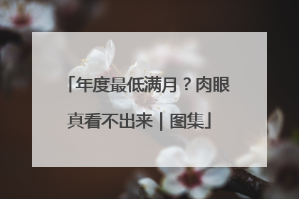 年度最低满月？肉眼真看不出来｜图集