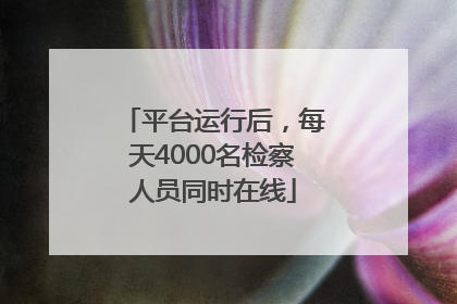平台运行后，每天4000名检察人员同时在线