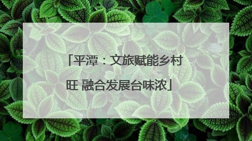 平潭：文旅赋能乡村旺 融合发展台味浓