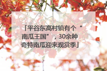 平谷东高村镇有个“南瓜王国”，30余种奇特南瓜迎来观赏季