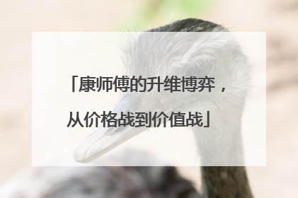 康师傅的升维博弈，从价格战到价值战