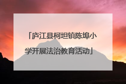 庐江县柯坦镇陈埠小学开展法治教育活动
