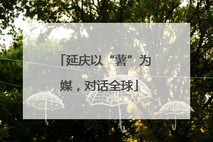 延庆以“薯”为媒，对话全球