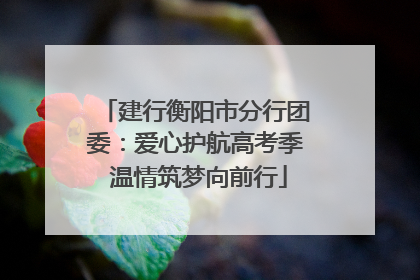 建行衡阳市分行团委：爱心护航高考季 温情筑梦向前行