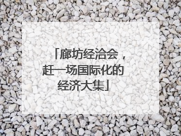 廊坊经洽会，赶一场国际化的经济大集