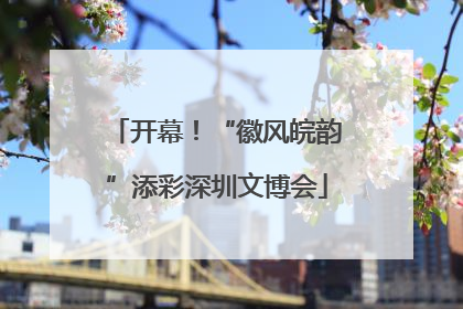 开幕！“徽风皖韵”添彩深圳文博会