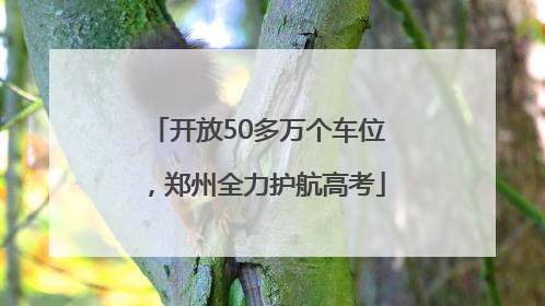 开放50多万个车位，郑州全力护航高考