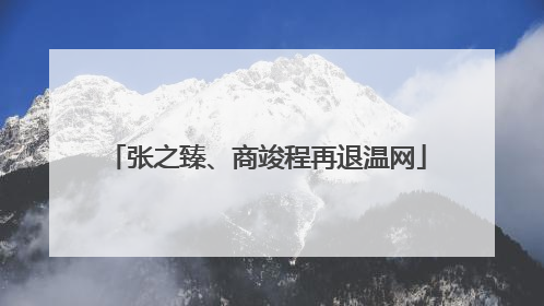 张之臻、商竣程再退温网