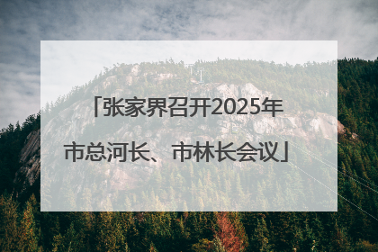 张家界召开2025年市总河长、市林长会议