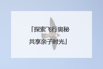 探索飞行奥秘 共享亲子时光