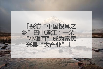 探访“中国银耳之乡”巴中通江：一朵“小银耳”成为富民兴县“大产业”