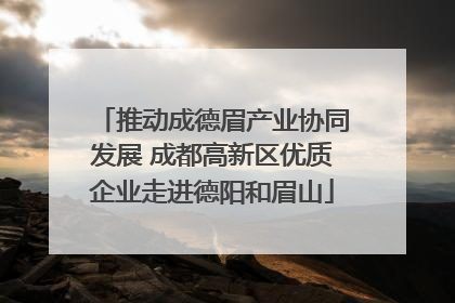 推动成德眉产业协同发展 成都高新区优质企业走进德阳和眉山