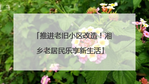 推进老旧小区改造！湘乡老居民乐享新生活