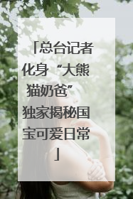 总台记者化身“大熊猫奶爸” 独家揭秘国宝可爱日常