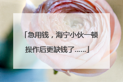 急用钱，海宁小伙一顿操作后更缺钱了……