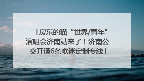 房东的猫“世界/青年”演唱会济南站来了！济南公交开通6条歌迷定制专线