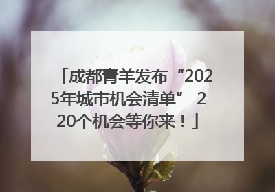 成都青羊发布“2025年城市机会清单” 220个机会等你来！