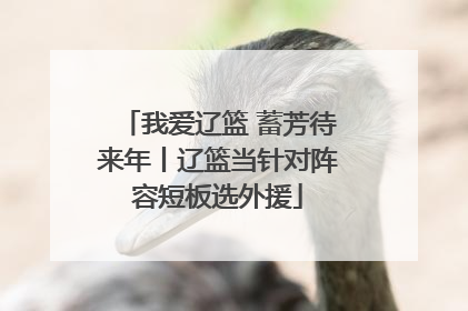 我爱辽篮 蓄芳待来年丨辽篮当针对阵容短板选外援
