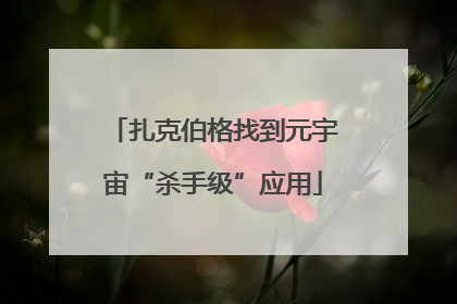 扎克伯格找到元宇宙“杀手级”应用