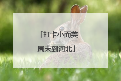 打卡小而美 周末到河北