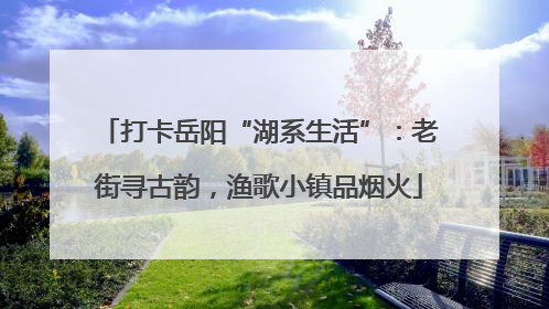 打卡岳阳“湖系生活”：老街寻古韵，渔歌小镇品烟火
