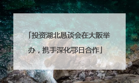 投资湖北恳谈会在大阪举办，携手深化鄂日合作
