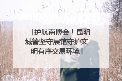 护航南博会！昆明城管坚守展馆守护文明有序交易环境