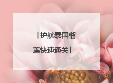 护航泰国榴莲快速通关