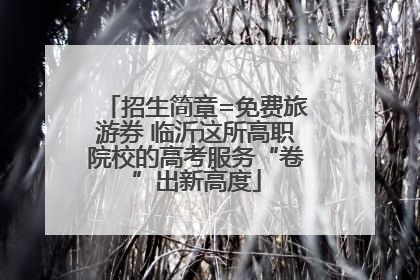 招生简章=免费旅游券 临沂这所高职院校的高考服务“卷”出新高度
