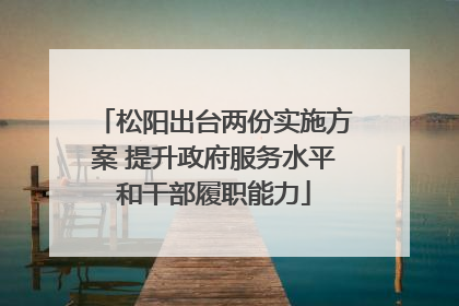松阳出台两份实施方案 提升政府服务水平和干部履职能力