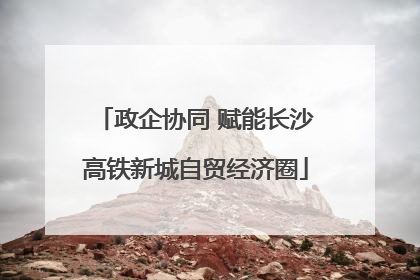 政企协同 赋能长沙高铁新城自贸经济圈