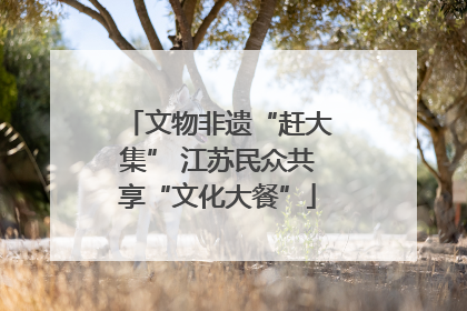 文物非遗“赶大集” 江苏民众共享“文化大餐”
